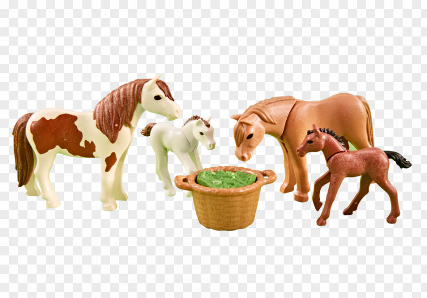 Horse Pony Ponies And Foals Amazon.com Playmobil PNG