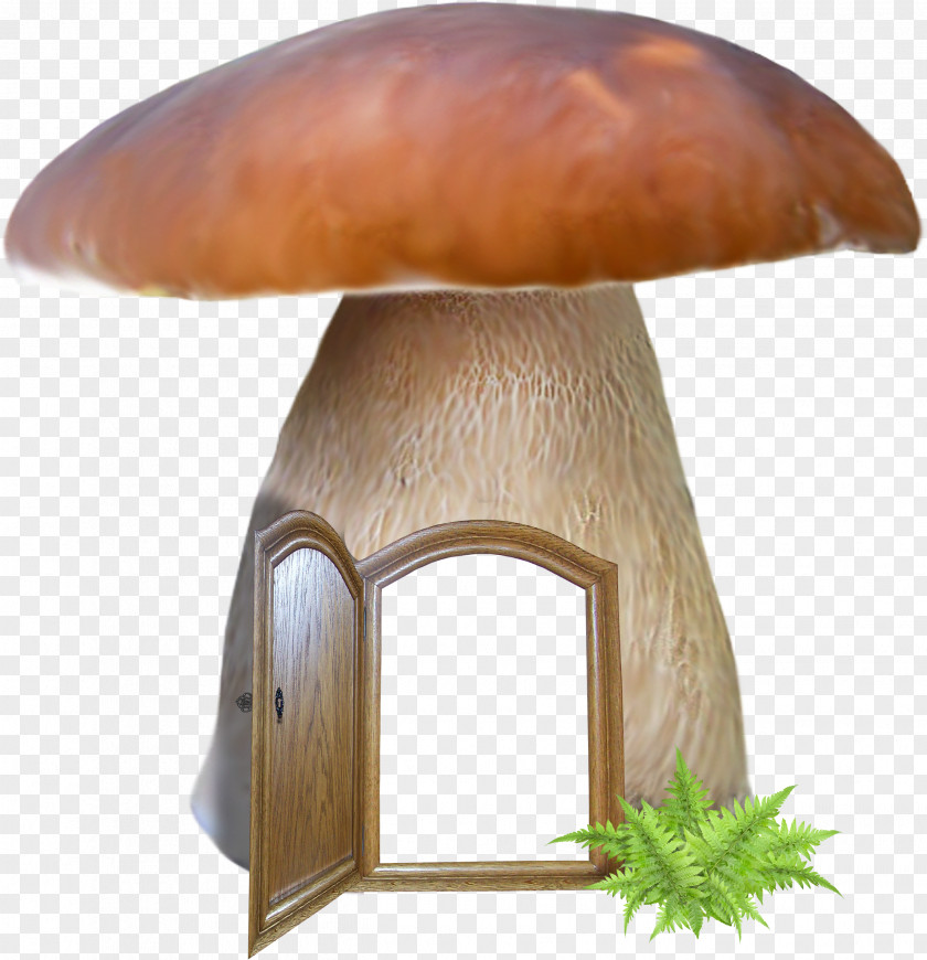 Mushroom Autumn Risotto PNG