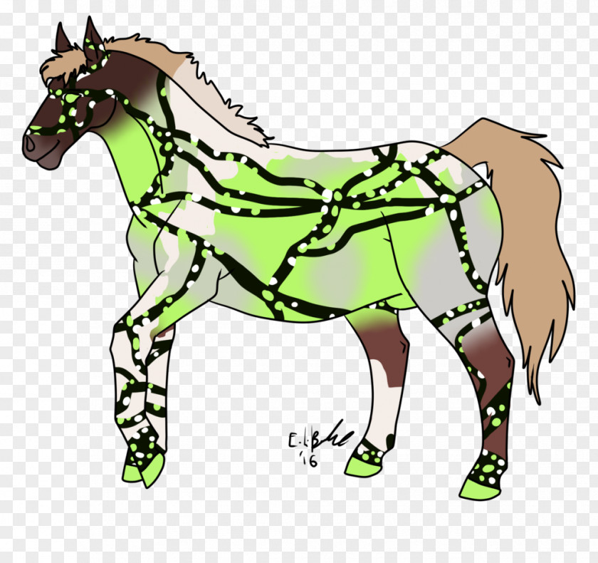 Mustang Mule Foal Mare Stallion PNG