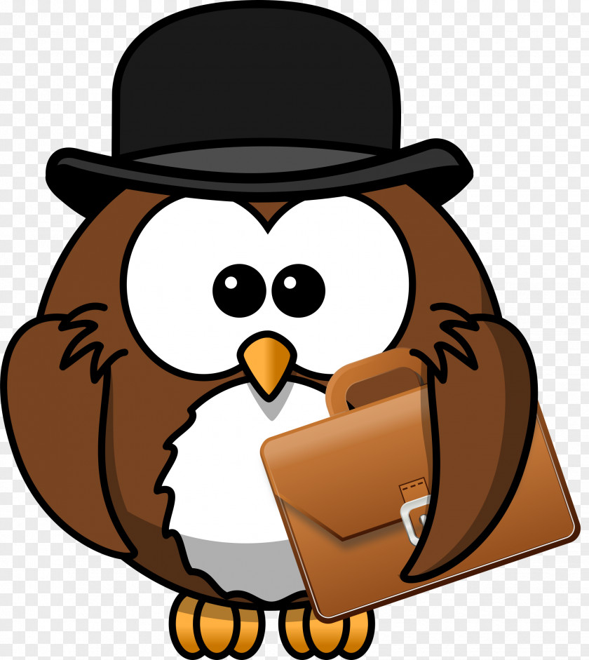 Owl Drawing Cartoon Clip Art PNG