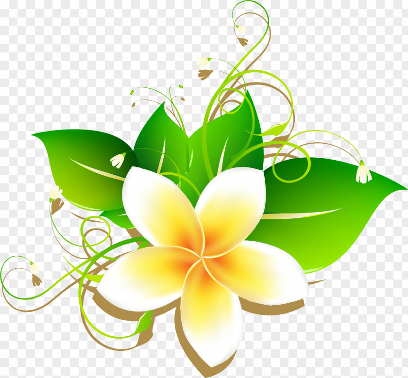 Cartoon Egg Flower Material Frangipani Download Drawing PNG