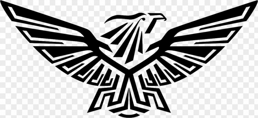 Eagle Symbol Transparent Image Logo Bird Clip Art PNG