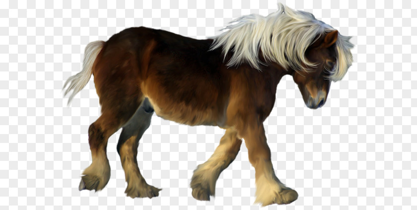 Hand-painted Dwarf Horse American Miniature Pony Foal Clip Art PNG