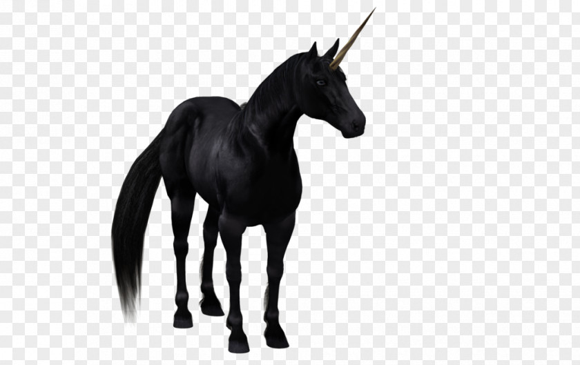 Unicorn Background The Black Horse PNG