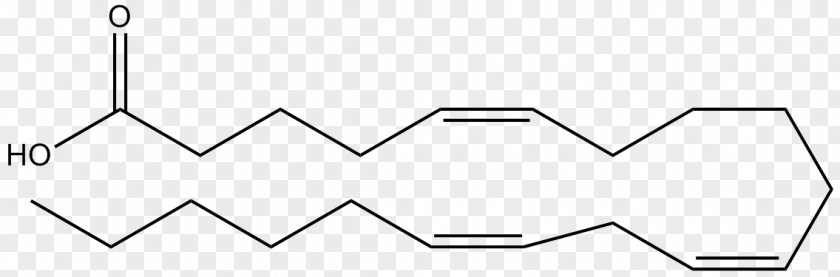 Acid Adipic Molecule Terephthalic Ester PNG
