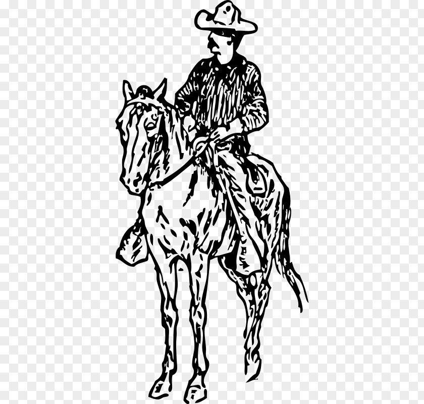 Cowboy Horse Drawing Equestrian Clip Art PNG