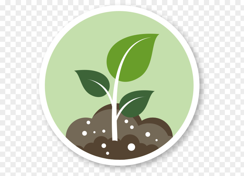 Plant Biostimulant Fertilisers Agriculture Soil Foliar Feeding PNG