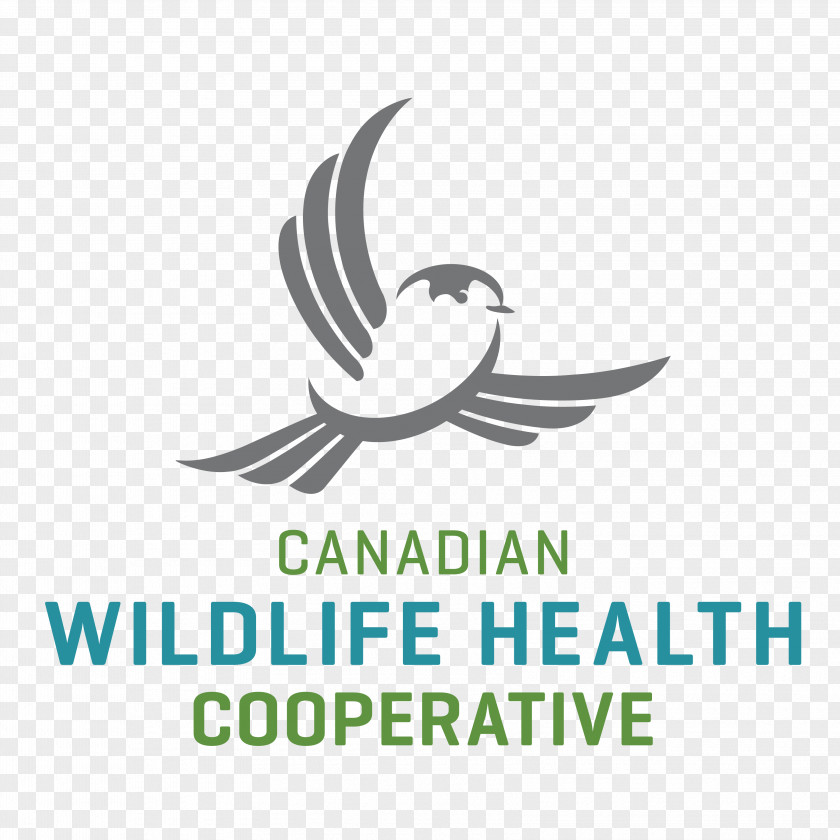 Canada National Wildlife Health Center Avian Influenza PNG