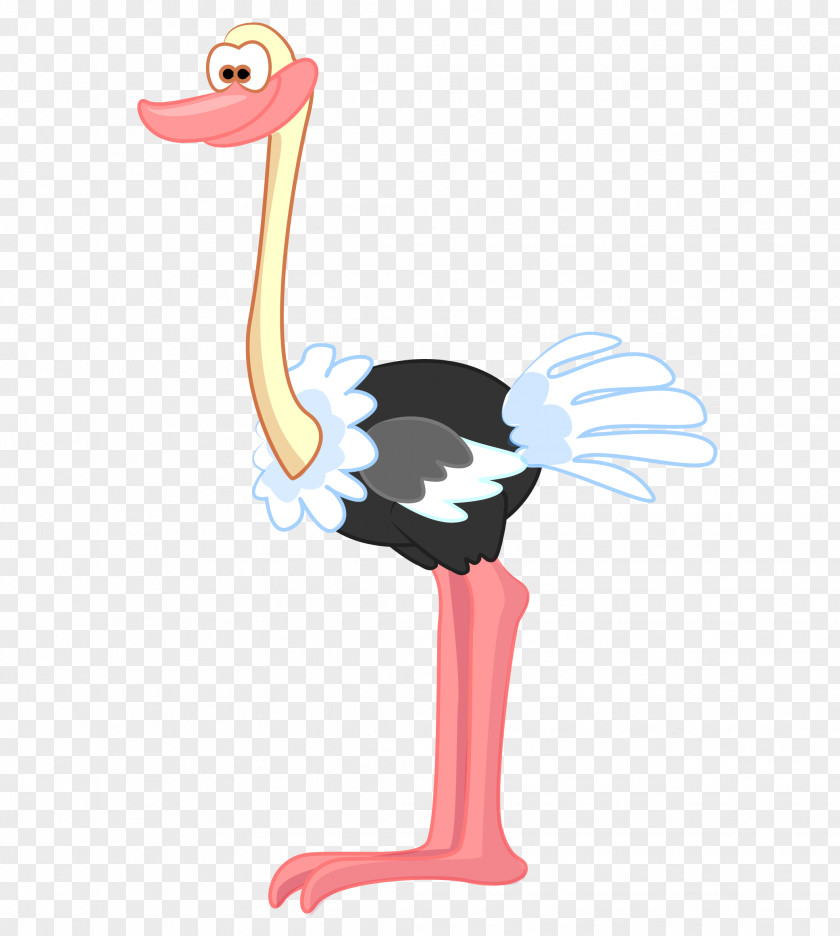 Vector Cartoon Ostrich Common Drawing Bird Illustration PNG