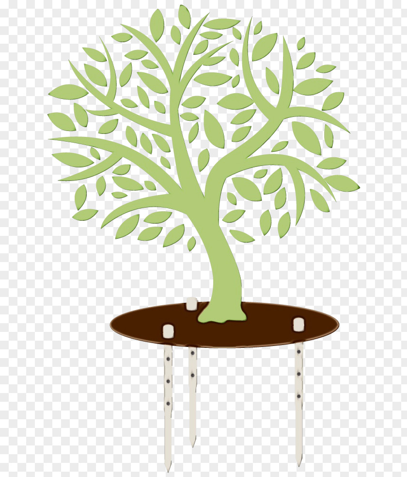 Branch Plant Stem Tree Flowerpot Leaf Houseplant PNG
