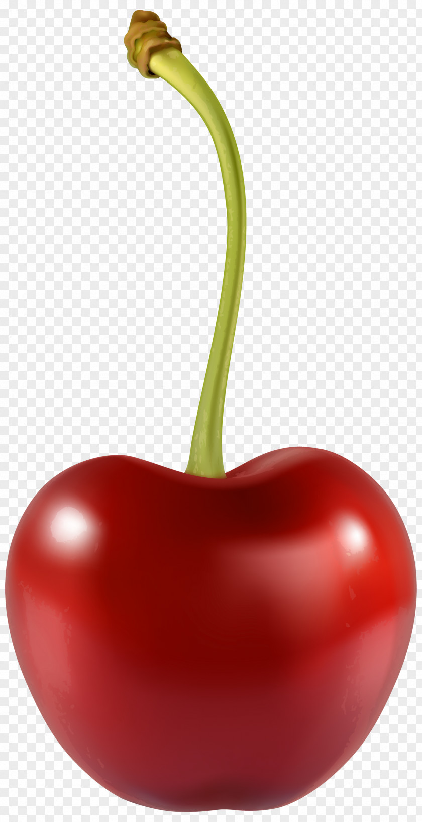 Cherry Berry Fruit Clip Art PNG