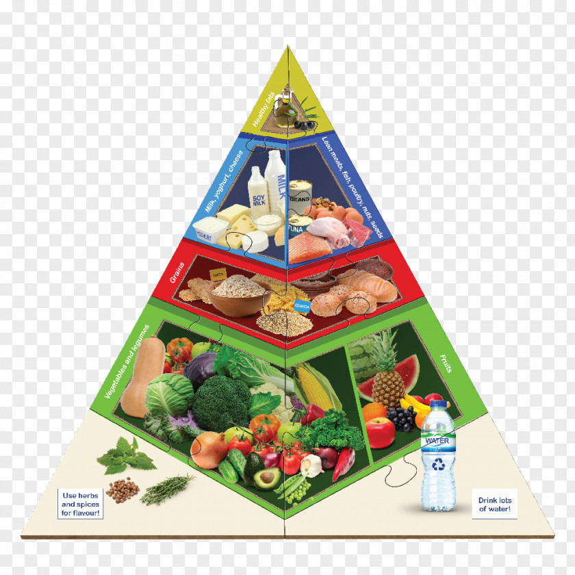 Food Pyramid Paleolithic Diet Health Vegetable PNG