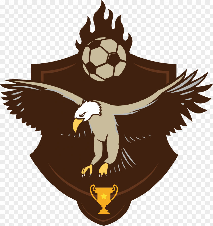 Football Hawks Eagle Hawk PNG
