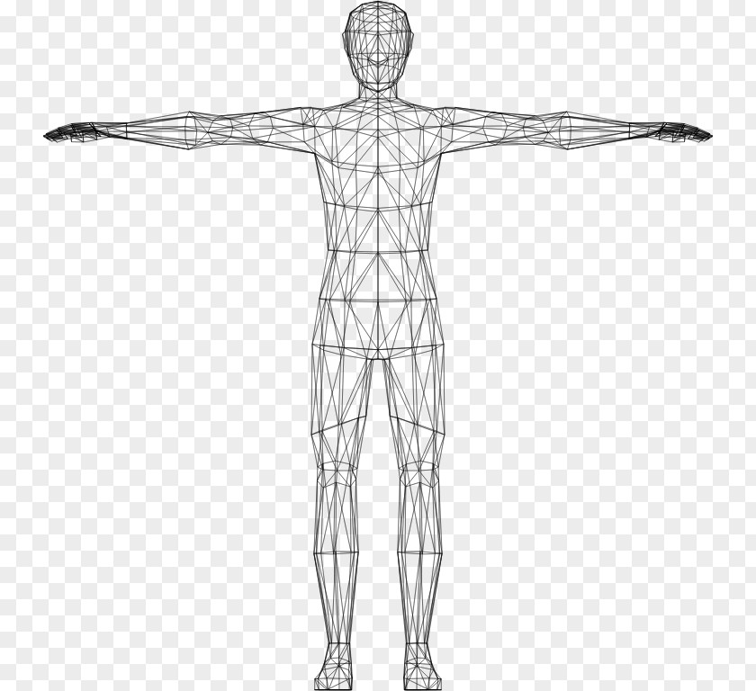 Human Body Website Wireframe Wire-frame Model Low Poly Clip Art PNG