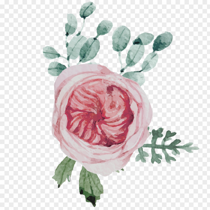 Watercolor Mother 's Day Decoration Material Garden Roses Flower Floral Design Centifolia PNG