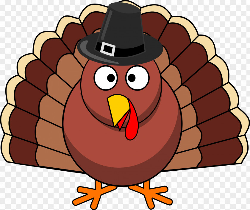 What Pattern Is Used To Develop The Idea Of Te Thanksgiving Day Turkey Meat Clip Art PNG