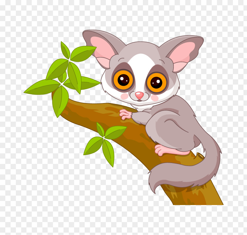 Animation Galago Royalty-free Stock Photography PNG