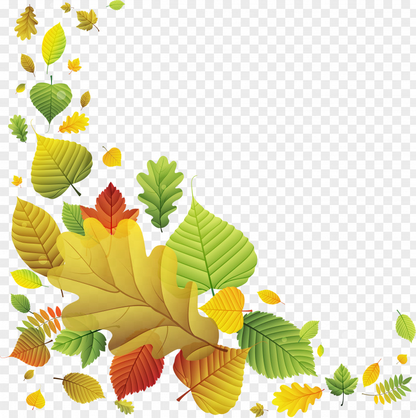 Autumn Leaves Leaf PNG