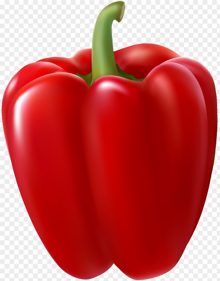 Hot Pepper Clip Art Peppers Bell Openclipart Chili PNG