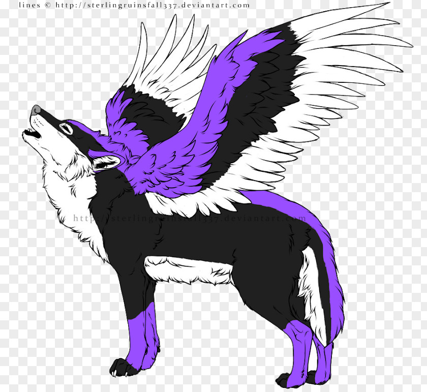 Lion Canidae Black Wolf Color PNG