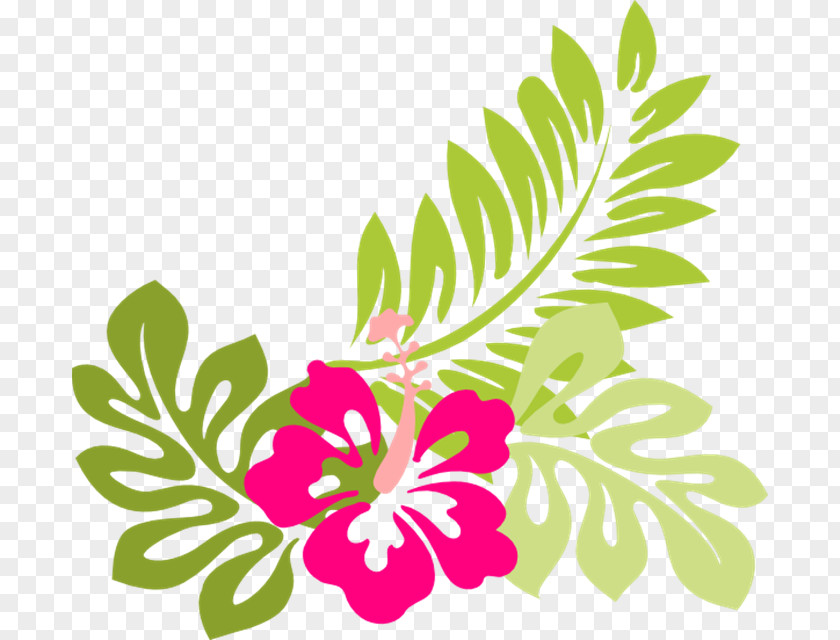 Tropical Flower Hibiscus Alyogyne Huegelii Luau Clip Art PNG