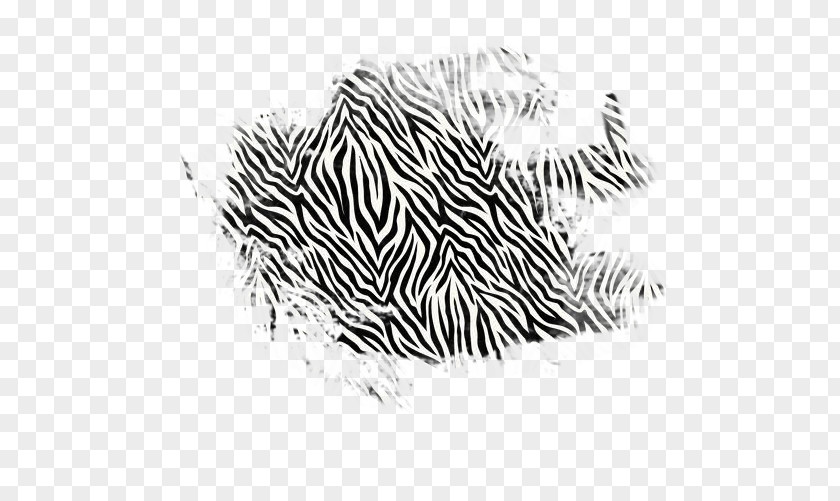 Zebra Tiger Cat Animal Print Pattern PNG