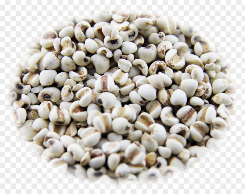 Barley Rice Free Pictures Adlay Photography Food Five Grains PNG
