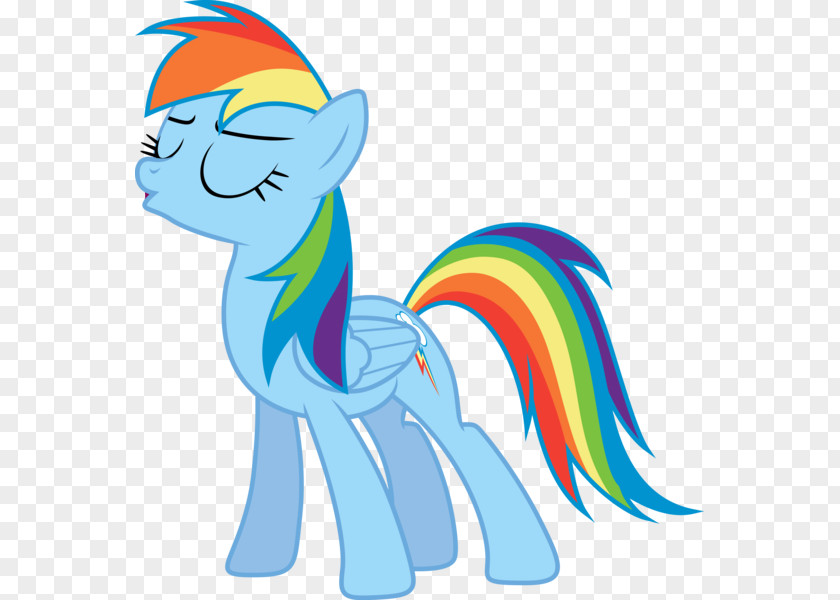 Cat Rainbow Dash Pony Twilight Sparkle Rarity PNG
