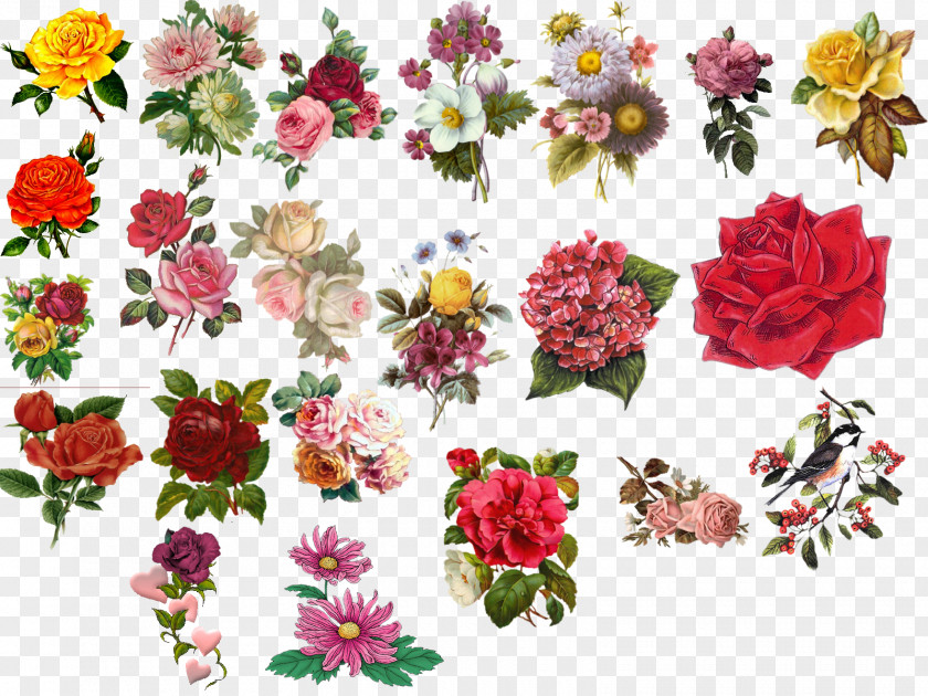 Flower Vintage Floral Design Clip Art PNG