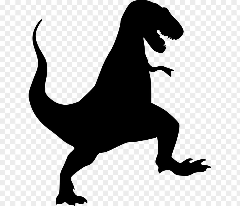 Dinosaur Tyrannosaurus Silhouette Velociraptor PNG