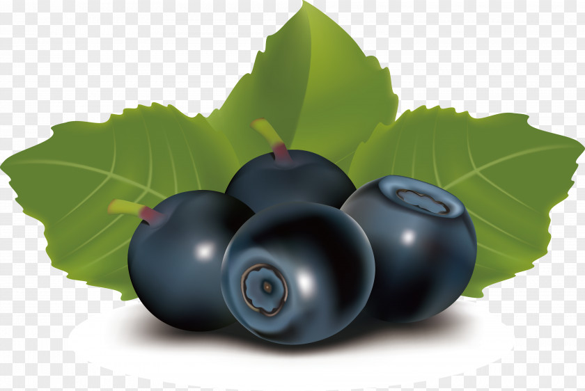 Grape Juice Blueberry Fruit PNG