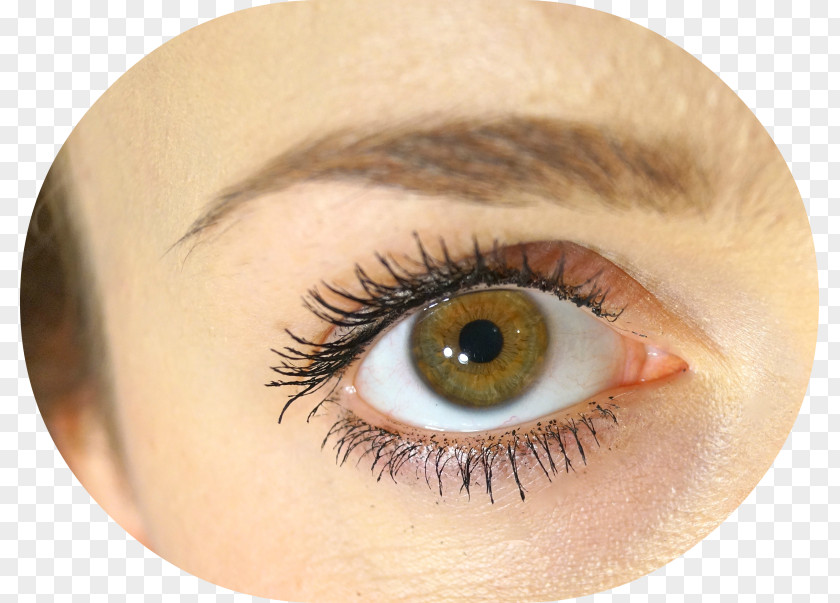 Longer Eyelashes Eyelash Extensions Mascara Close Up GmbH Eye Liner PNG