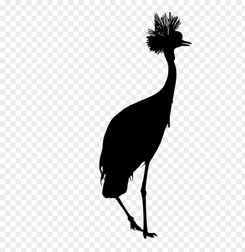 Silhouette Wildlife Bird Beak Flightless Crane-like Emu PNG