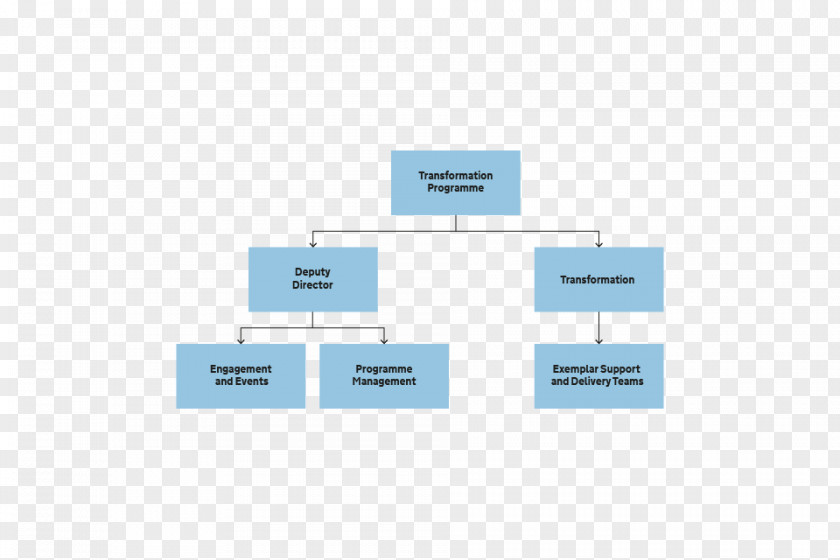 Business Plan Organizational Chart PNG