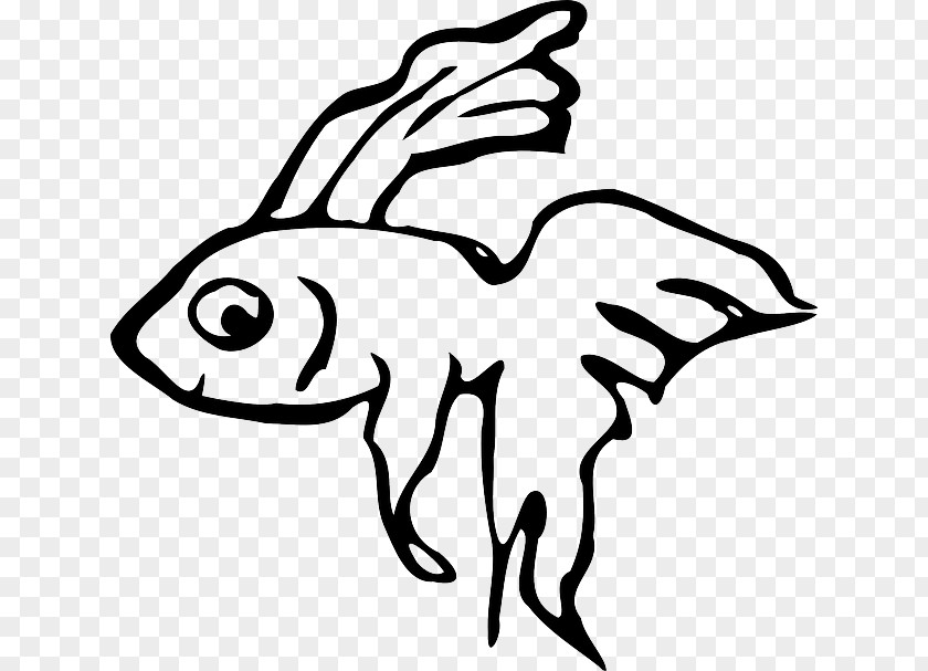 Fish Siamese Fighting Veiltail Ornamental Clip Art PNG