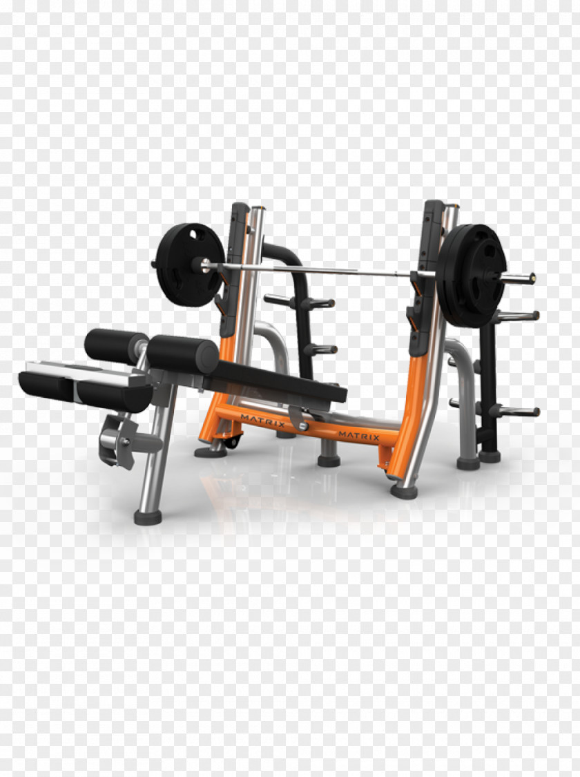 Fitness Bench Press Weight Training Physical Barbell PNG
