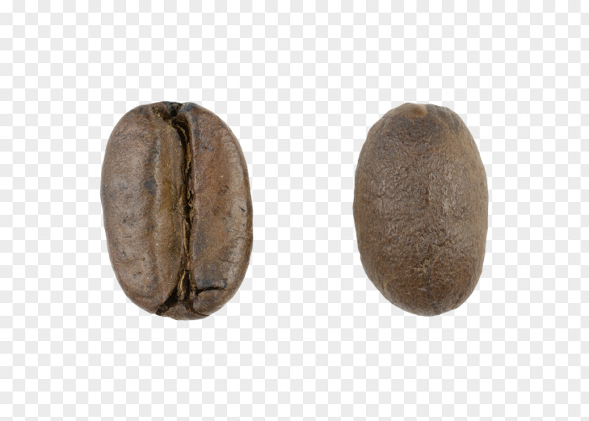 Old Coffee Bean Grinder Brewed Espresso Decaffeination Whole PNG
