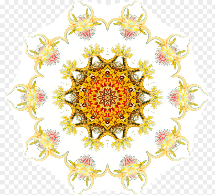 Organism Yellow Flower PNG