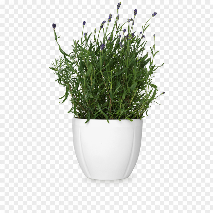 Cachepot Flowerpot Rosendahl International A/S Grand Theatre PNG