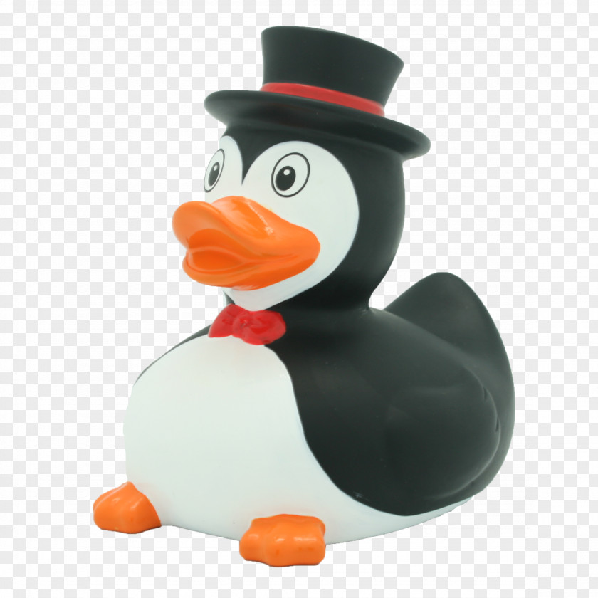 Duck Rubber Penguin Toy Bathtub PNG