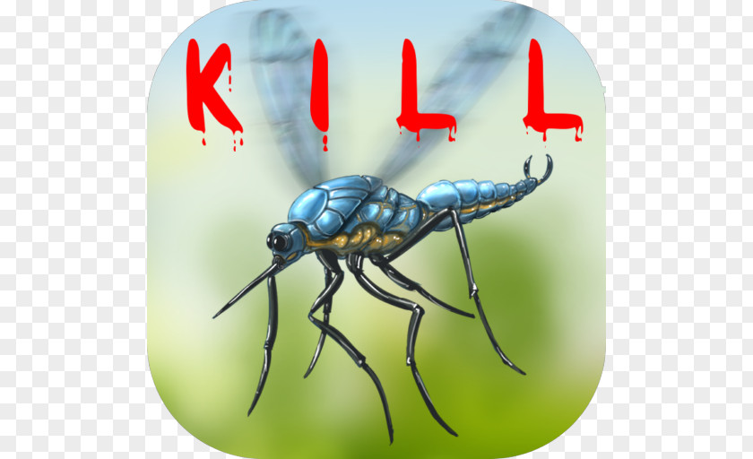 Mosquito Household Insect Repellents Weevil Google Drive PNG