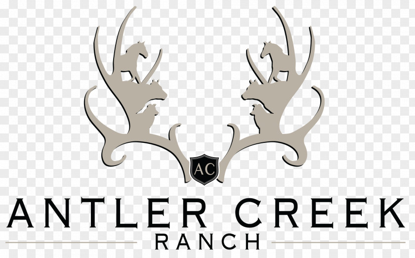 Reindeer Antler Logo Horn PNG