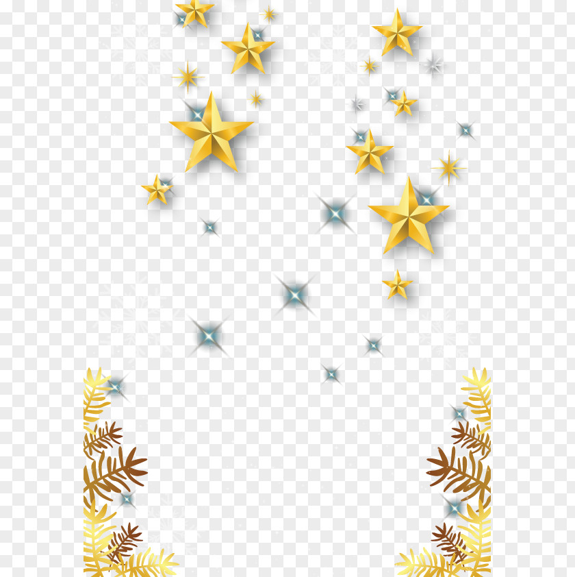 Vector Background Star PNG