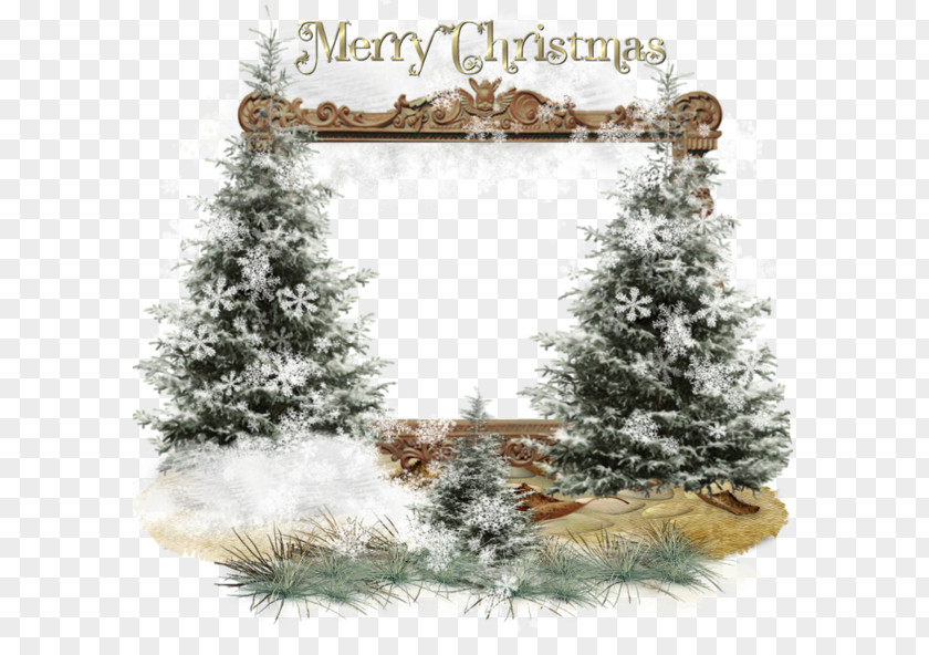 Christmas Tree Ornament Eve New Year PNG