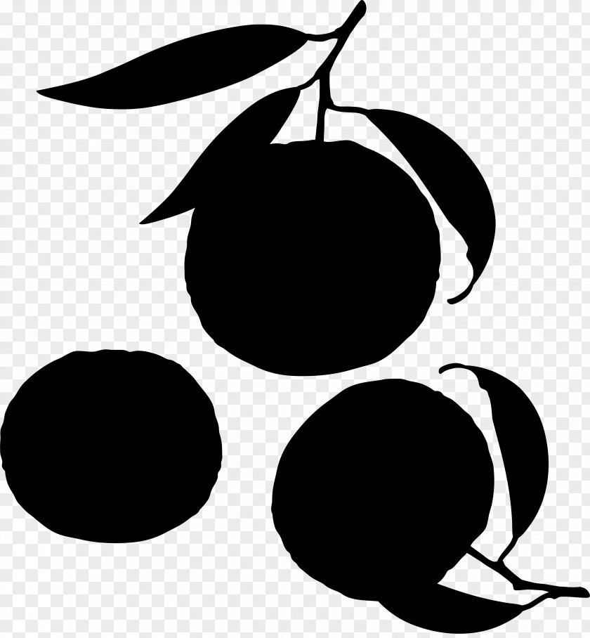 Clip Art Fruit Line Pattern Silhouette PNG