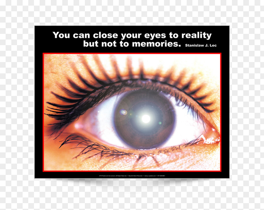 Close Your Eyes Melanopsin Eye Disease Cell Science PNG