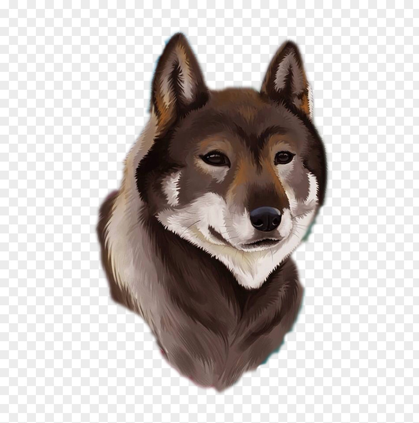 Exquisite Hand-painted Dogs Avatar Dog Breed Wolfdog Illustration PNG