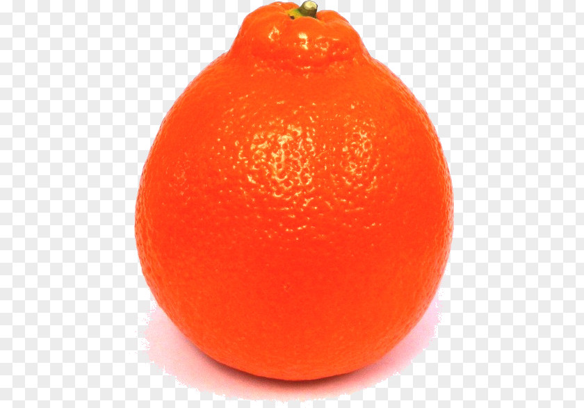 Grapefruit Clementine Mandarin Orange Tangerine Blood Tangelo PNG
