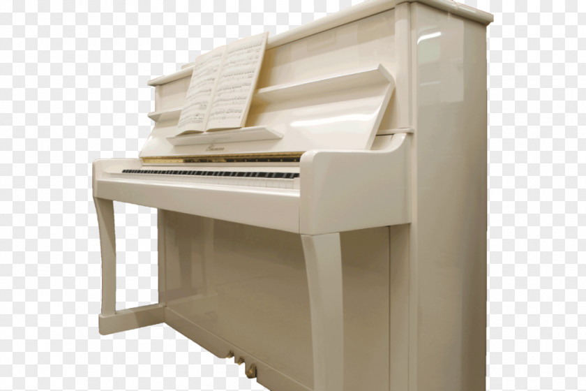 Piano Digital Player Spinet Celesta PNG
