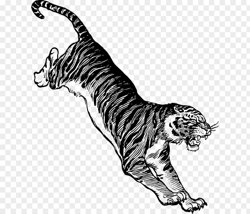 Cat Felidae Drawing Jumping Clip Art PNG